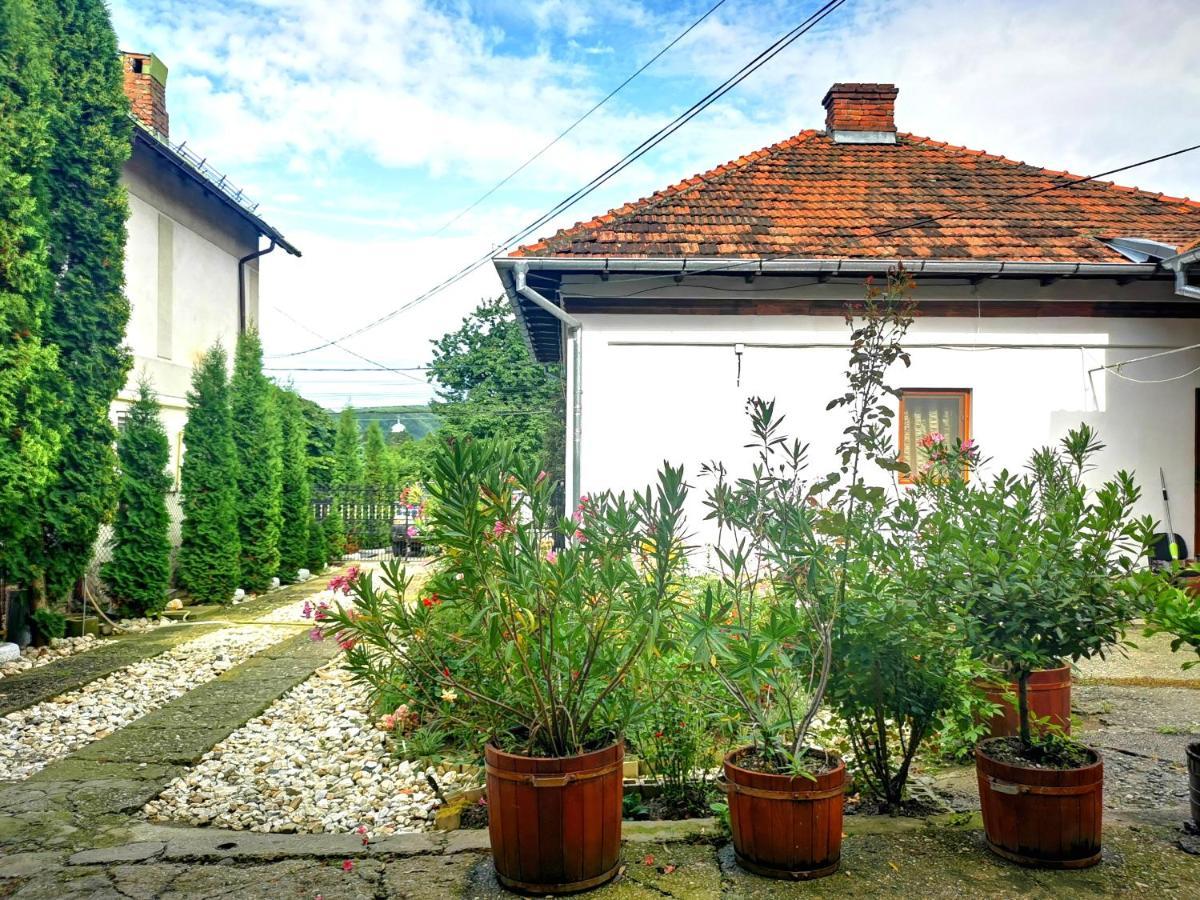 Villa Casa Petrescu à Curtea de Argeş Extérieur photo