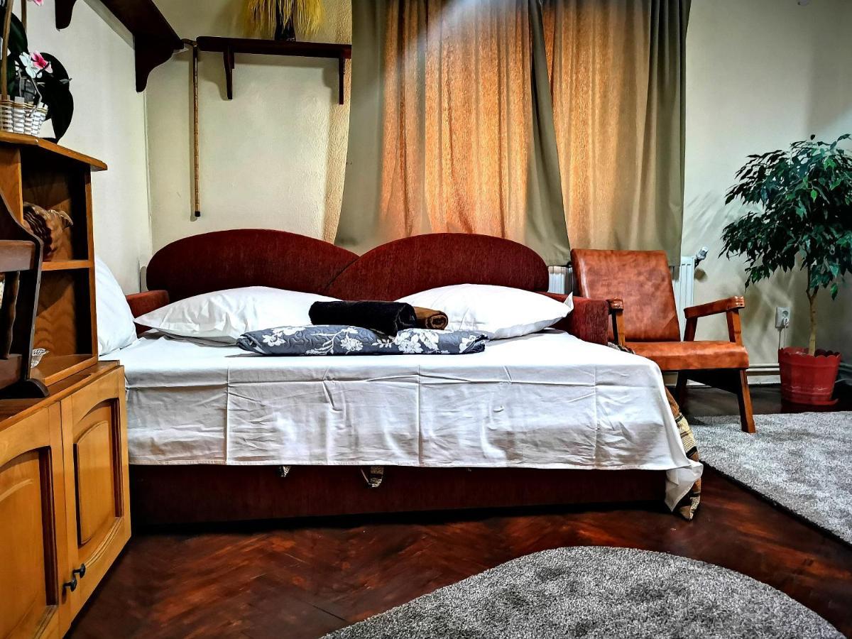 Villa Casa Petrescu à Curtea de Argeş Extérieur photo