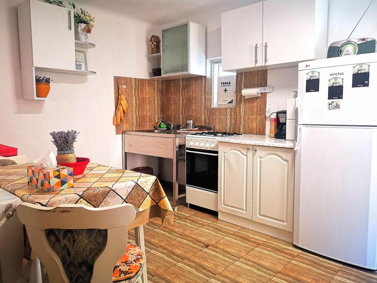 Villa Casa Petrescu à Curtea de Argeş Extérieur photo